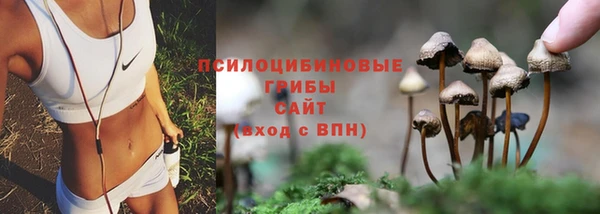 спиды Аркадак