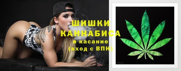 крисы Армянск