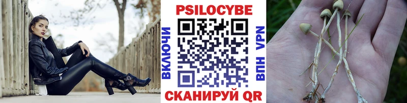 Псилоцибиновые грибы GOLDEN TEACHER дарк нет клад Узловая что такое